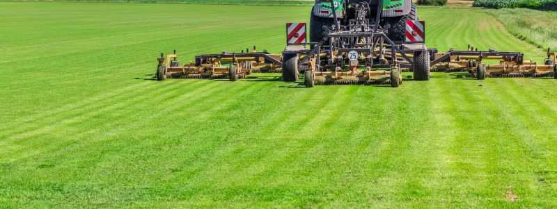 Grass Topdressing
