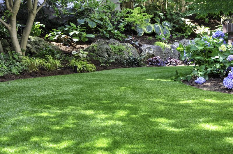 Lush Green Lawn