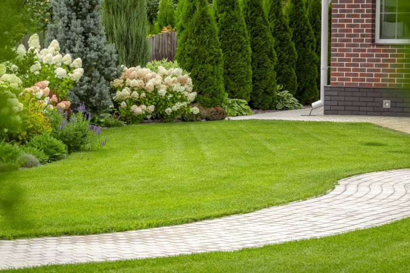 Professional Landscaping Installation